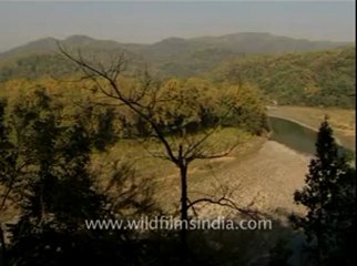 corbett-DB-192-1.flv
