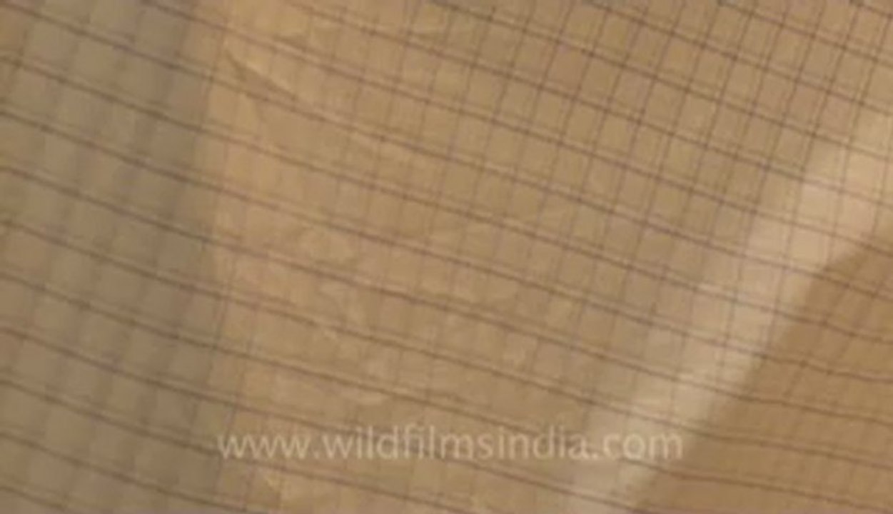 cotton cloth-4.flv