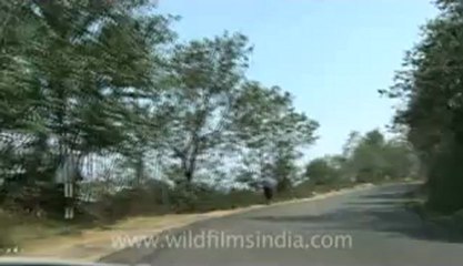 driving through jakhama-4.flv