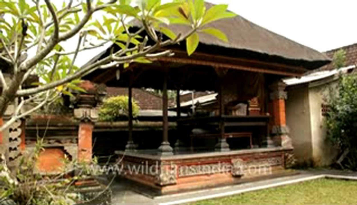 indonesia-bali-ubud.flv