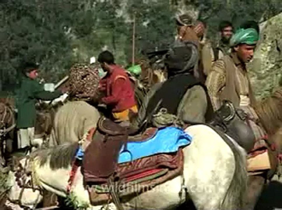 j&k amarnath-8-1.flv
