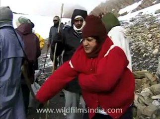 kailash mansarovar-mdv-30-2.flv