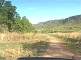 kanha-mdv-540-6.flv