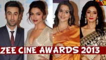 EXCLUSIVE: Zee Cine Awards 2013 Red Carpet