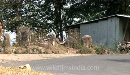 kisama village-Z-1-hdv-15-13.flv