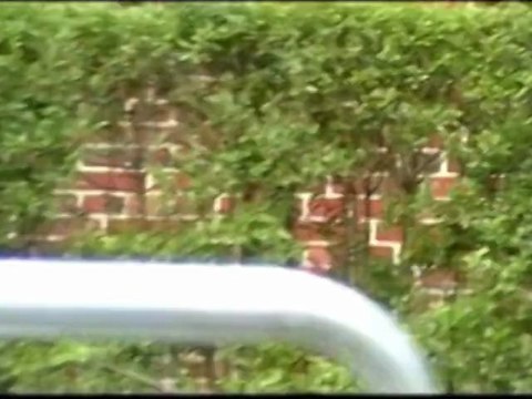 Strange Days of Summer