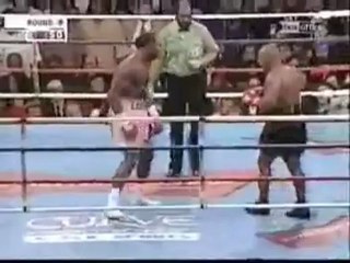 Tyson Vs. Lewis Knock Out Punch Perikizi.Net