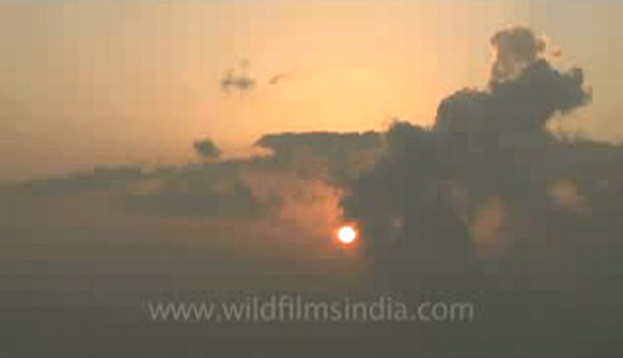 landour-2-2.flv