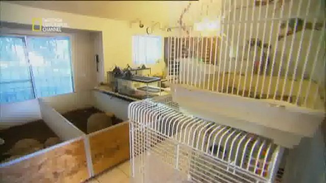 Collectionneurs de l'extrême