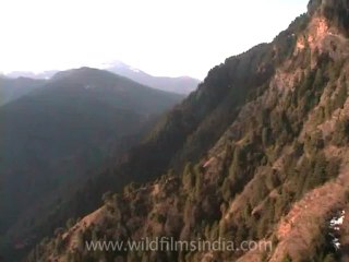 manali- mdv-166-4.flv