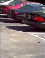 Une souris tourne en rond sur un parking