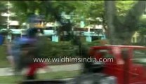singapore-28-MPEG-4 800Kbps.mp4