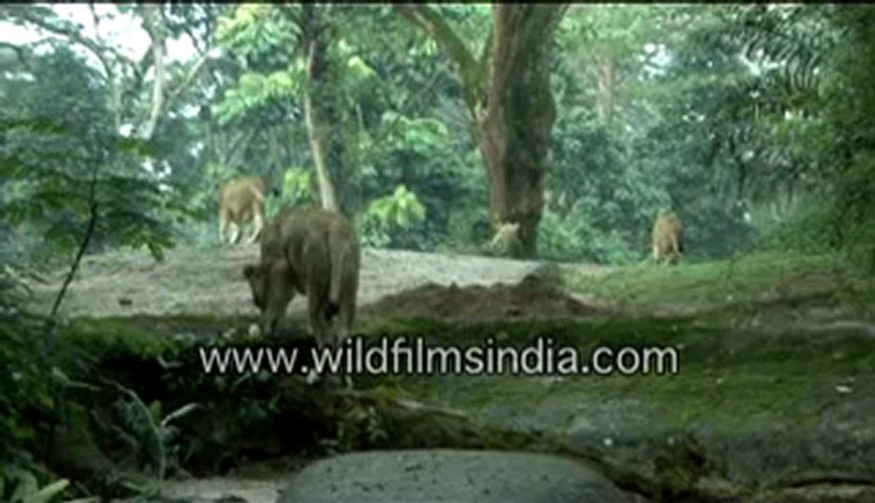 singapore-b-MPEG-4 800Kbps.mp4