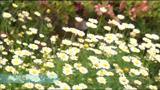 AKB48 1-149 Renai Sousenkyo - Ishida Haruka