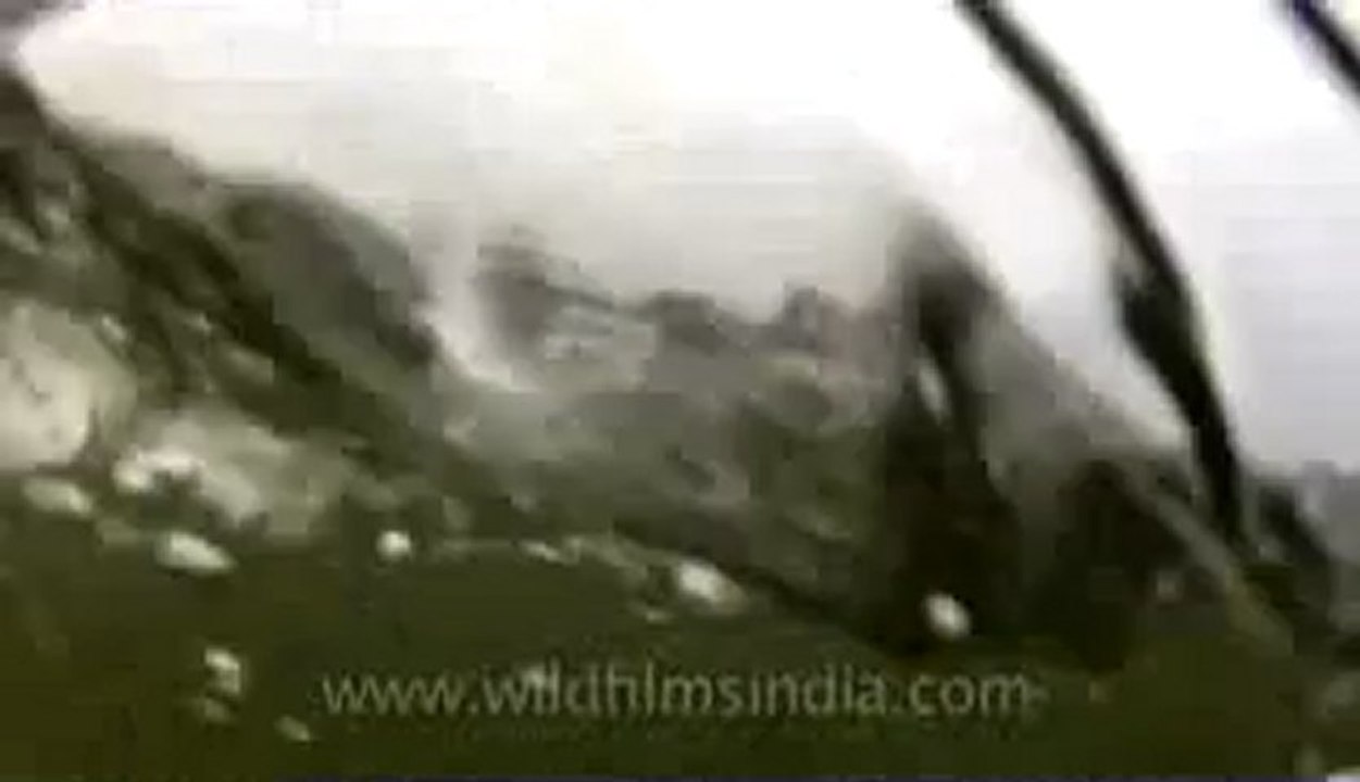 varanasi-38.flv