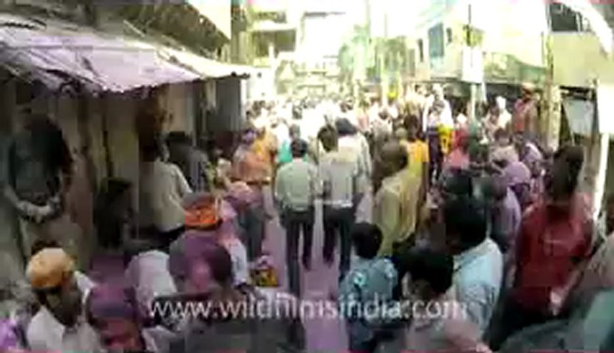 varanasi-vrindaban-8.flv