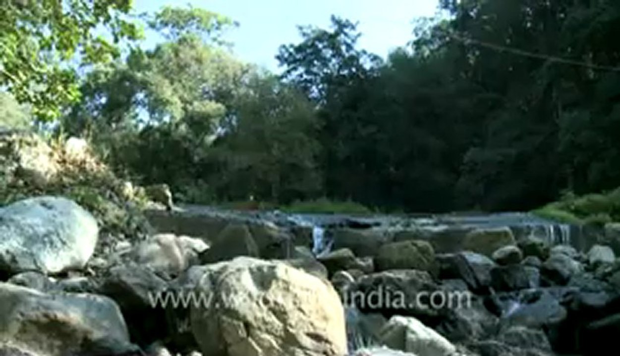 wfil footage .flv