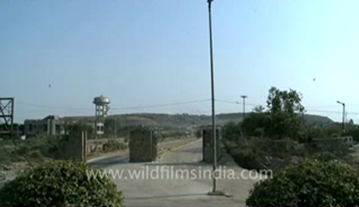 wfil footage-2.flv