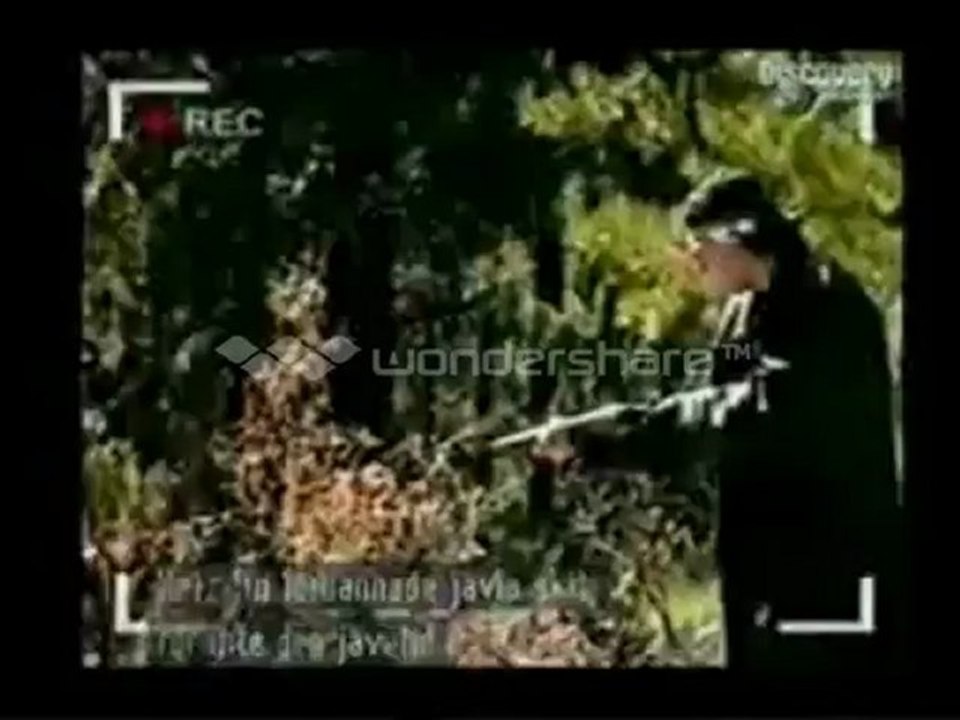 Zero Hour: Columbine (Last Words)