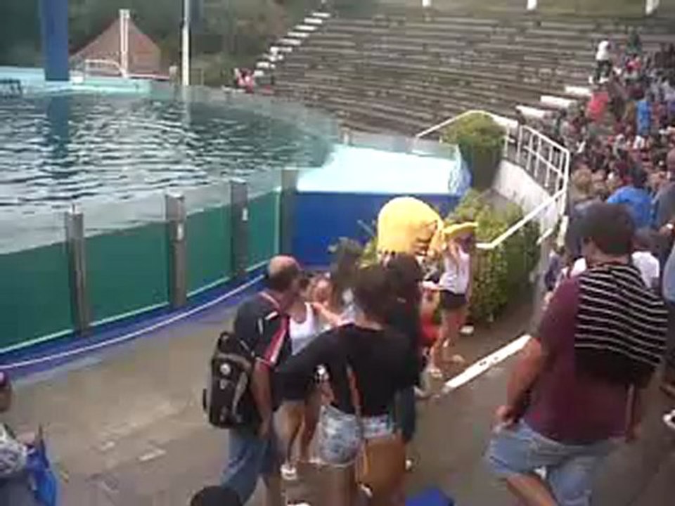 Pachorra hace bailara al verano