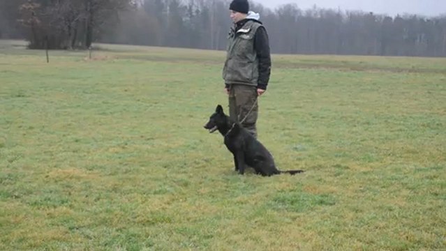 entrainement obe de Furry du Royaume des septs iles