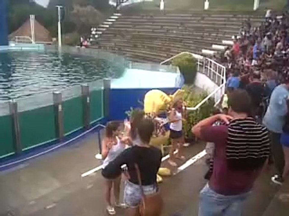 El verano es de Pachorra...y sus bailes