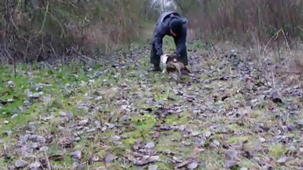 Halba du Chemin des Cavaliers 3mois et demi