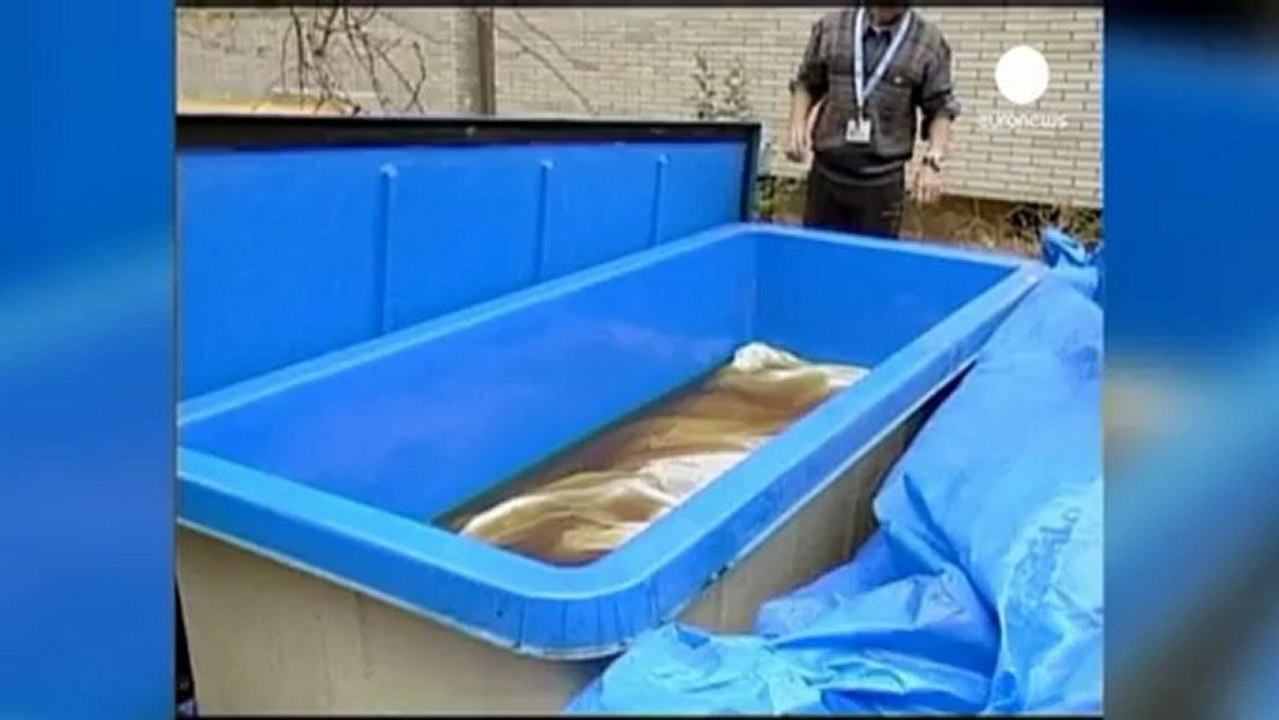 Giant squid captured in deep ocean water