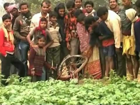 В Индии дикий слон опять напал на деревню