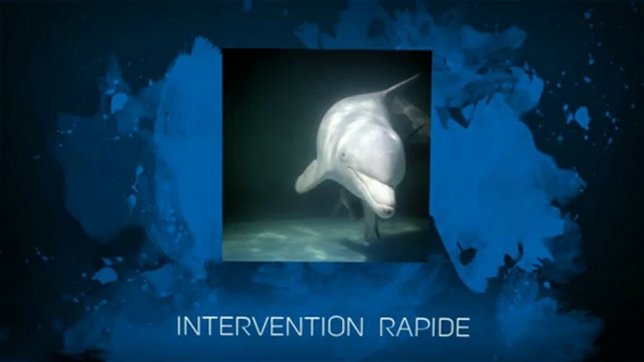 Plombier La Madeleine. Sanitaire La Madeleine. Plomberie La Madelaine 59110