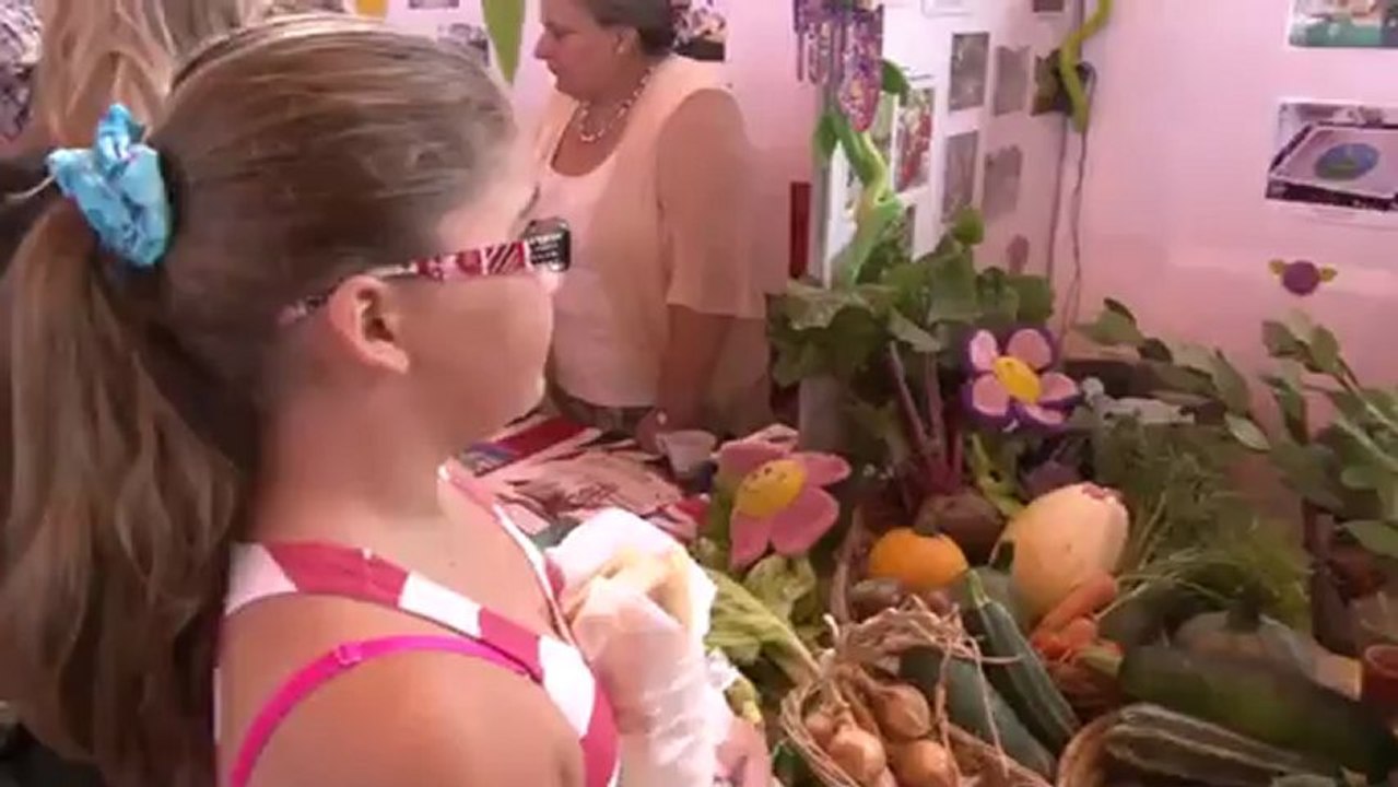 Forum des associations au Plessis-Robinson (septembre 2012)