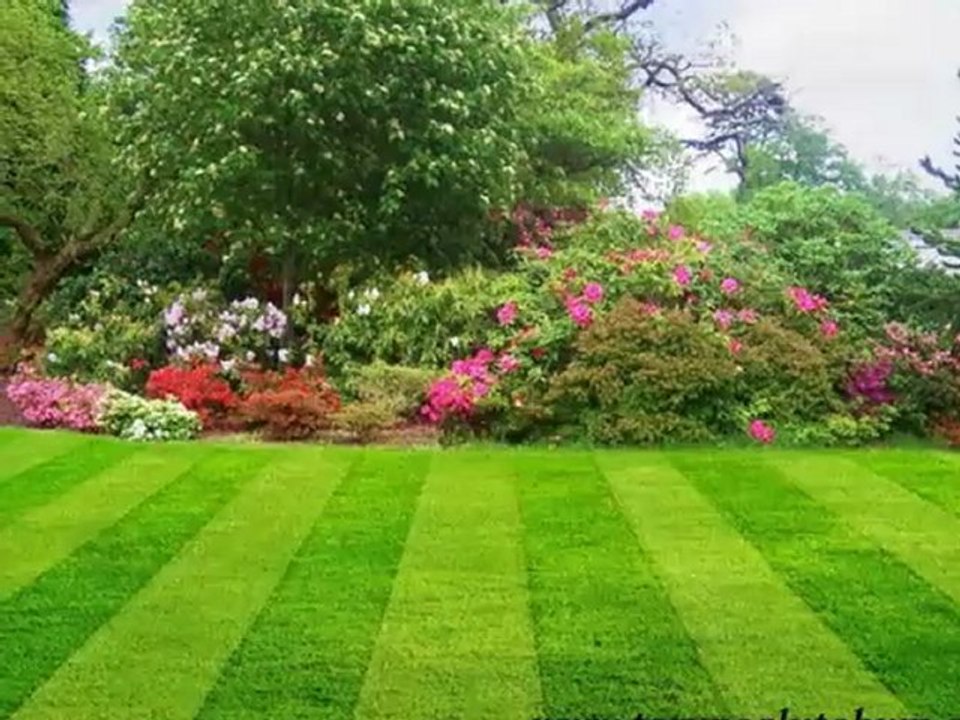 Çim tohumu fiyatları,çim tohumu nasıl ekılır