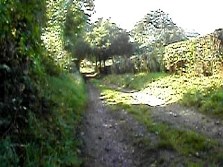 omlytia diamanche 15 octobre 008