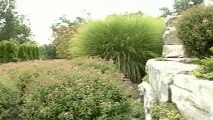 Praise for Landscape Gardens | Landscaping Brimingham Mi