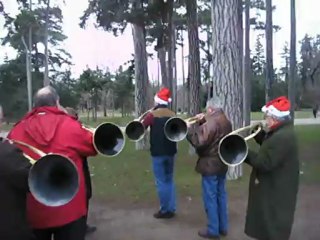 Trompes de décembre en action au bord d'un étang