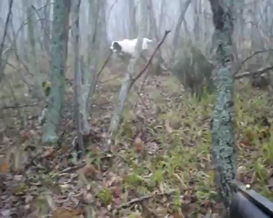 çulluk avı .. korsan & lena