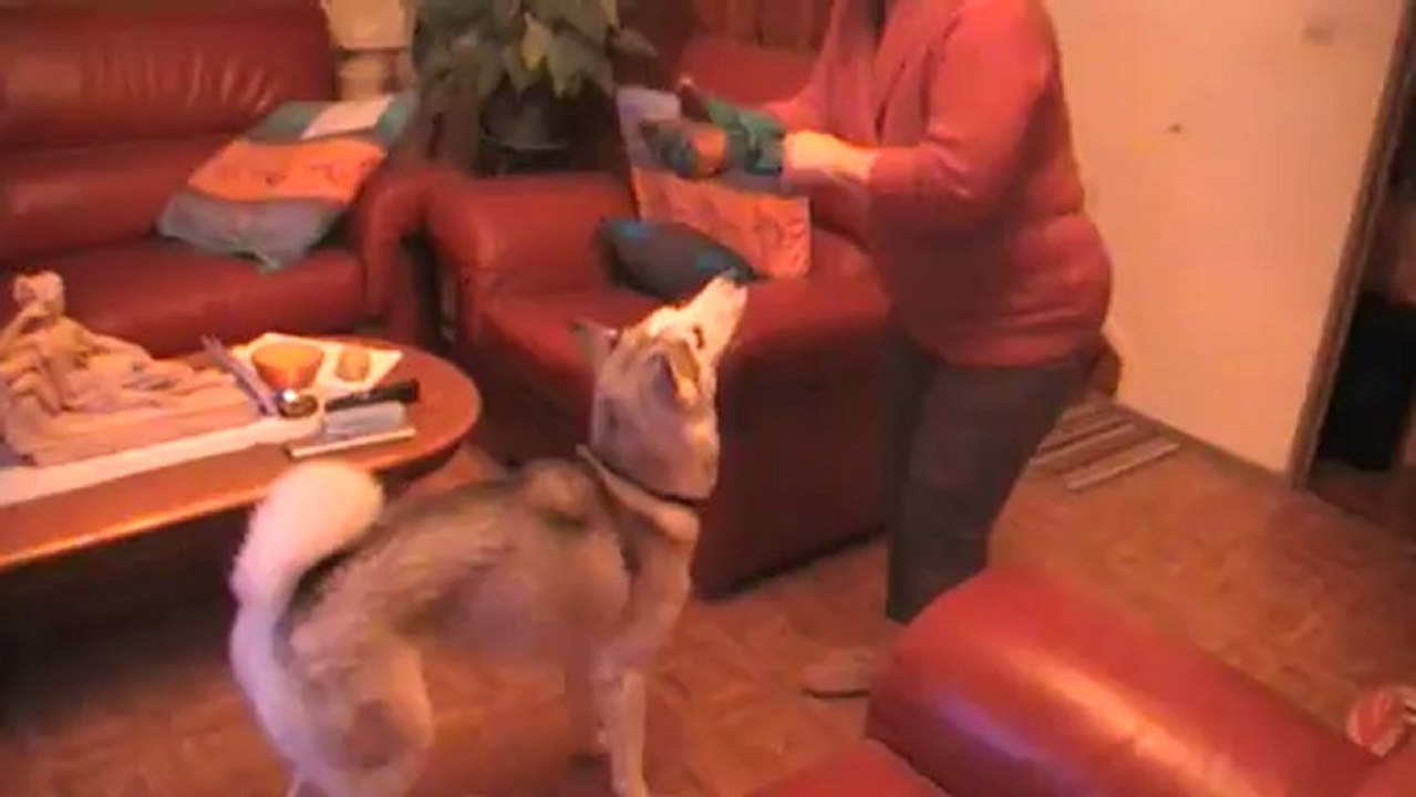 Douchka se bagarre avec sa maman
