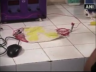 IIT student creates fabric that changes colour.mp4