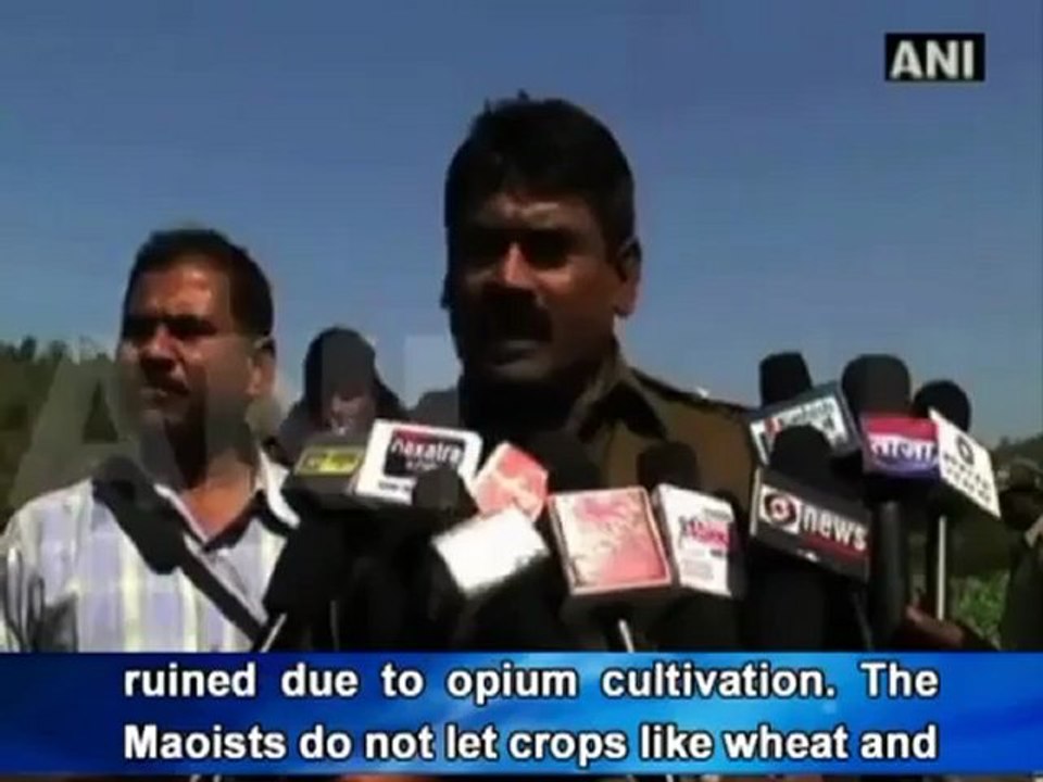 J'khand- Maoists forcing poppy cultivation.mp4