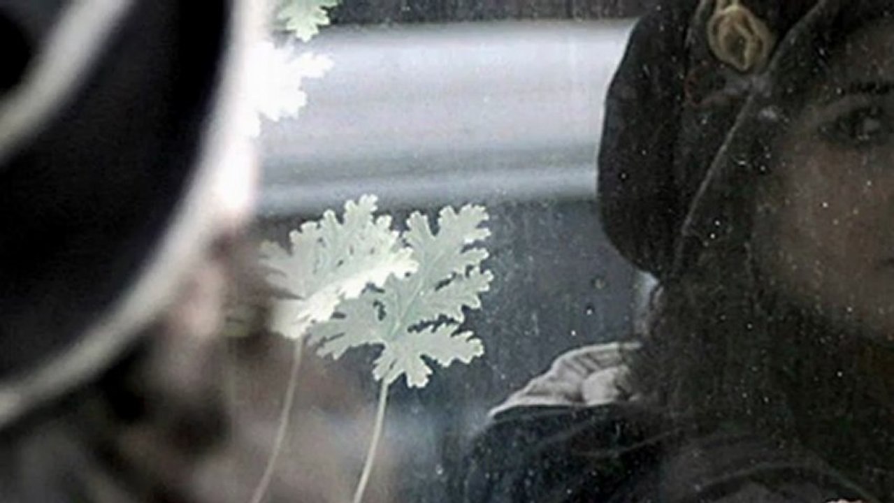 ERKİN KORAY-SARHOŞ GİBİYİM