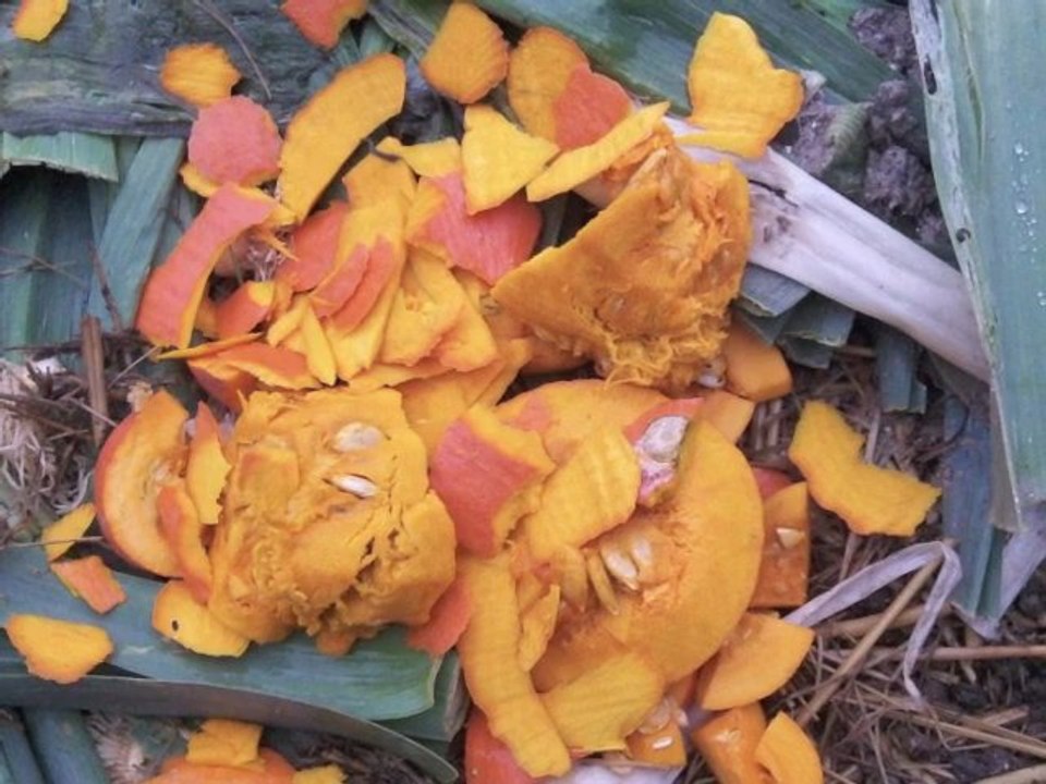 LE POTIRON DU LYCEE SULLY