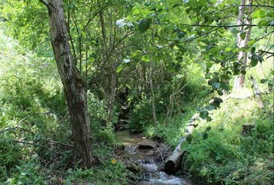 Halil Bytyqi & Vll.Gashi - Kanga Rexh Mehmeti