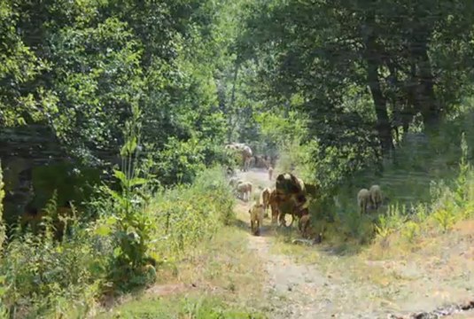 Halil Bytytqi & Fehmi Nishevci & Syl Mahalla - Mahmut Pasha