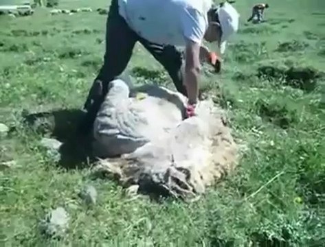 Kars Selim Köyleri - Darboğaz köyü @ MEHMET ALİ ARSLAN Tv