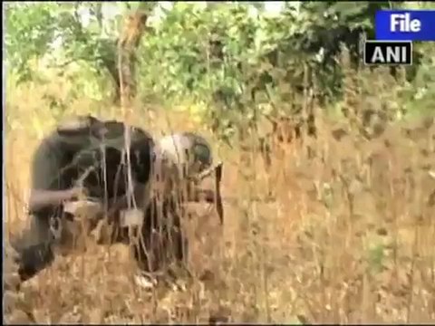 Odisha govt. committed to Italian hostage's release- Italian Envoy.mp4