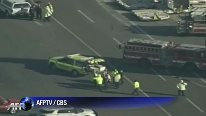 Problems plague Japan Airlines Dreamliners