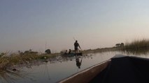 Mokoro Passage in the Okavango Delta