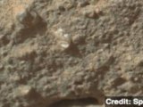 Mars Rover Curiosity Finds Alleged 'Flower'