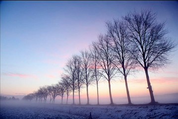 سورة النازعات محمد عبدالكريم