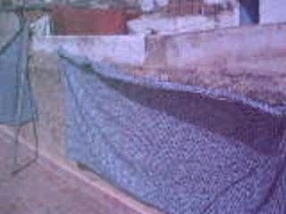 Crazy H on our roof in Fes, Morocco